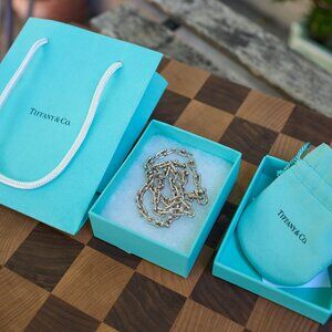 Tiffany HardWear Small Link Necklace in Sterling Silver